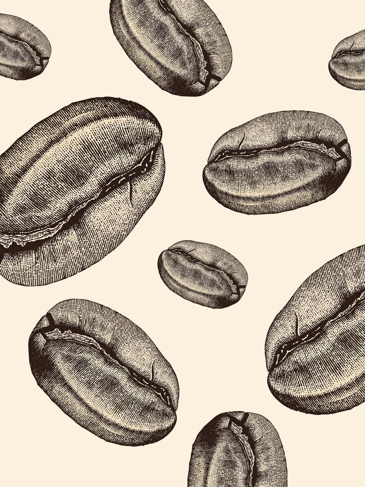 Behind every grain are hands that cultivate stories